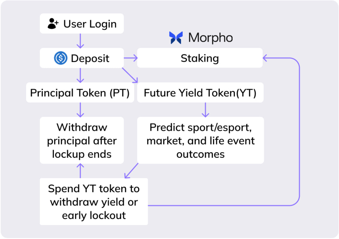 PT/YT capital flow